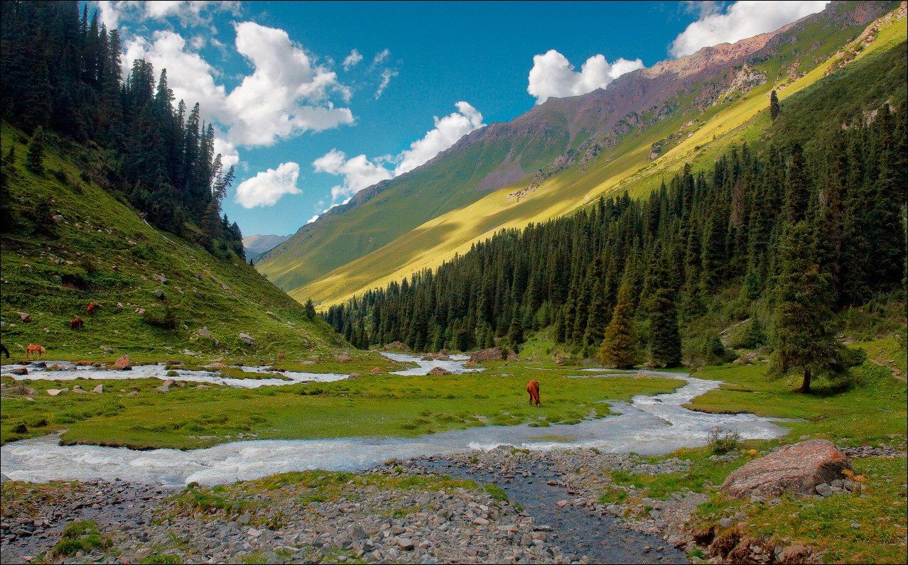 Природа Кыргызстана Тянь Шань