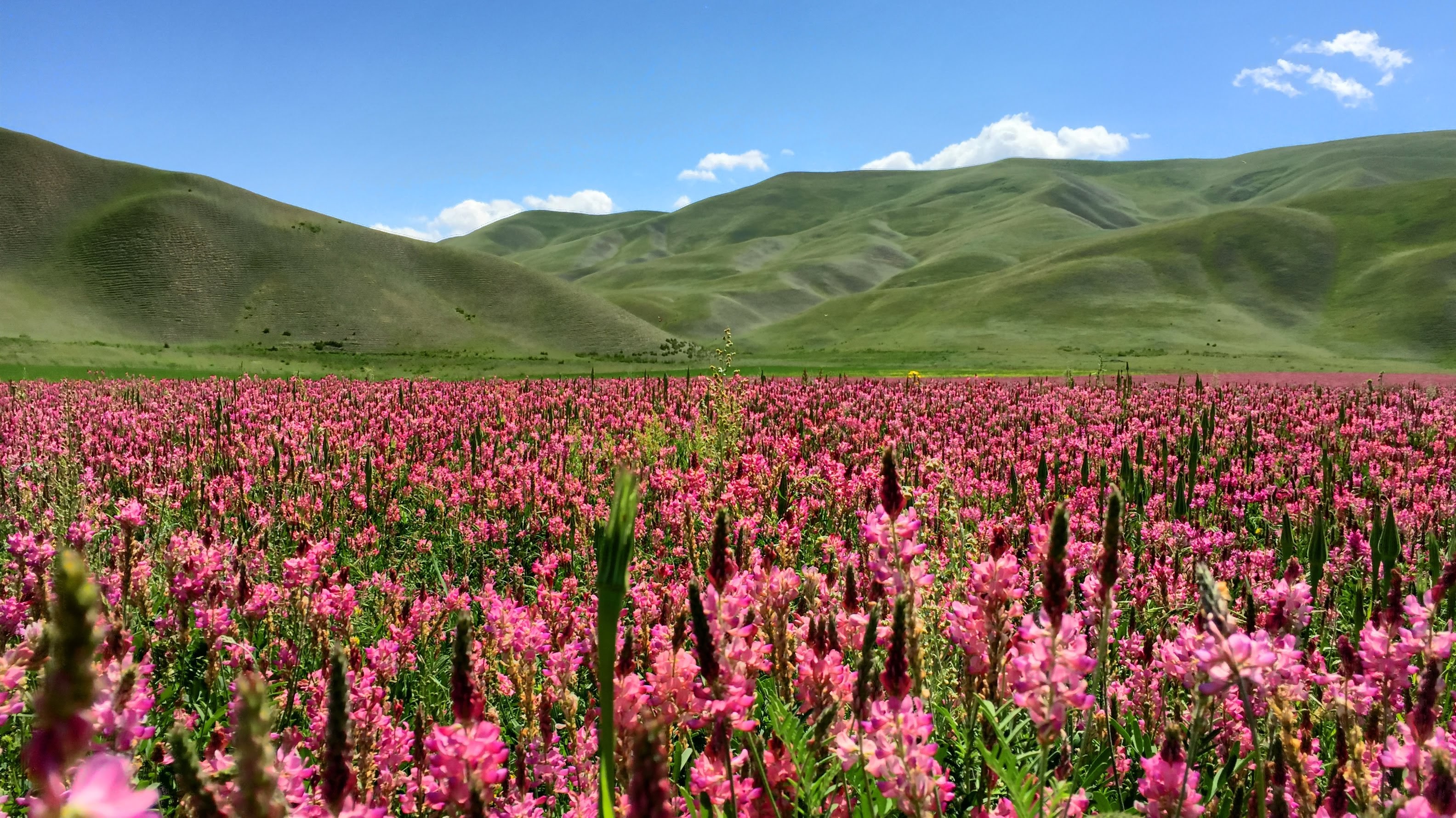 Природа Кыргызстана Баткен