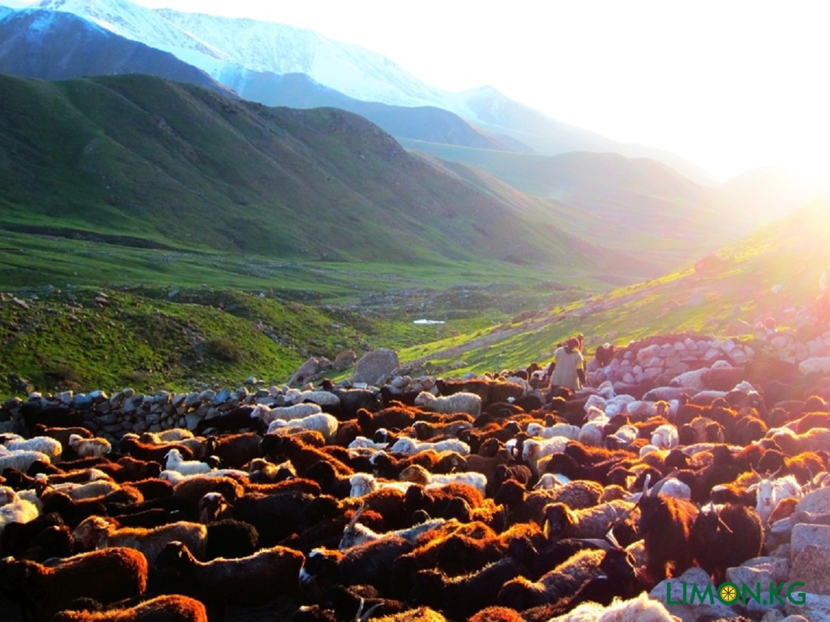 Природа Кыргызстана Кочкор