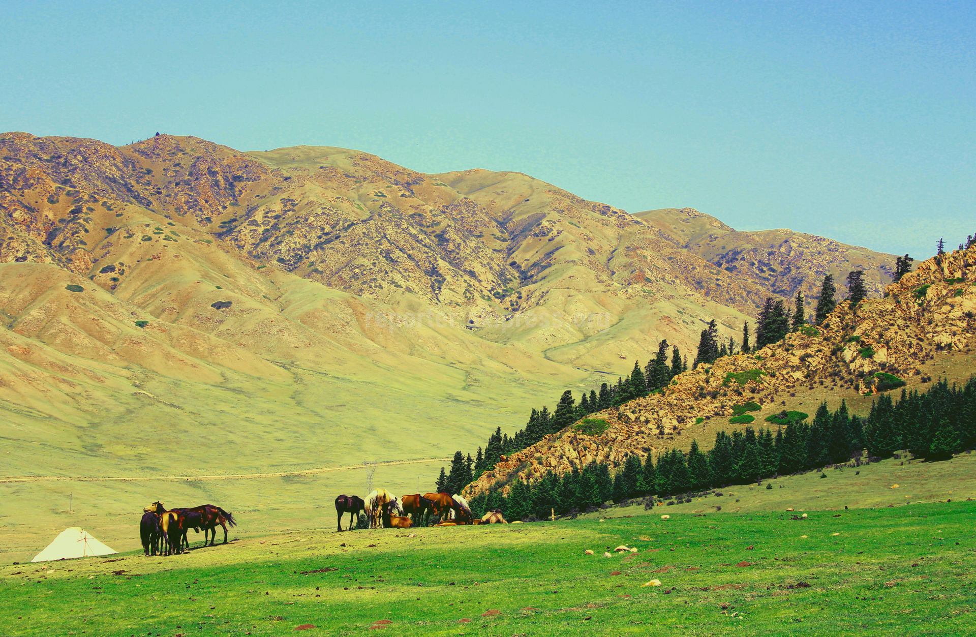 Кыргызстан это киргизия или нет. Ферганская Долина Киргизия. Природа Кыргызстана горы жайлоо. Природа Кыргызстана юрта горы. Кыргызстан Чуйская Долина.