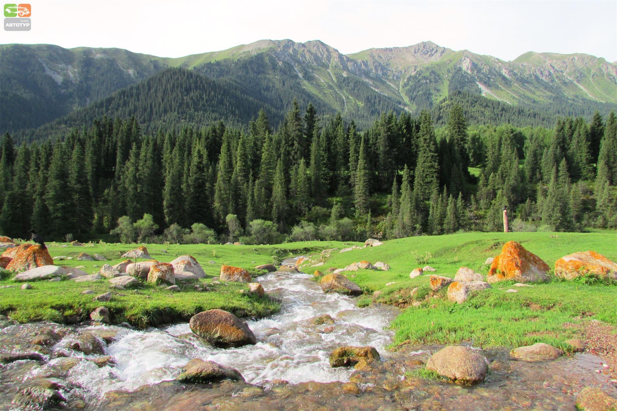 Природа Кыргызстан Кок Жайык