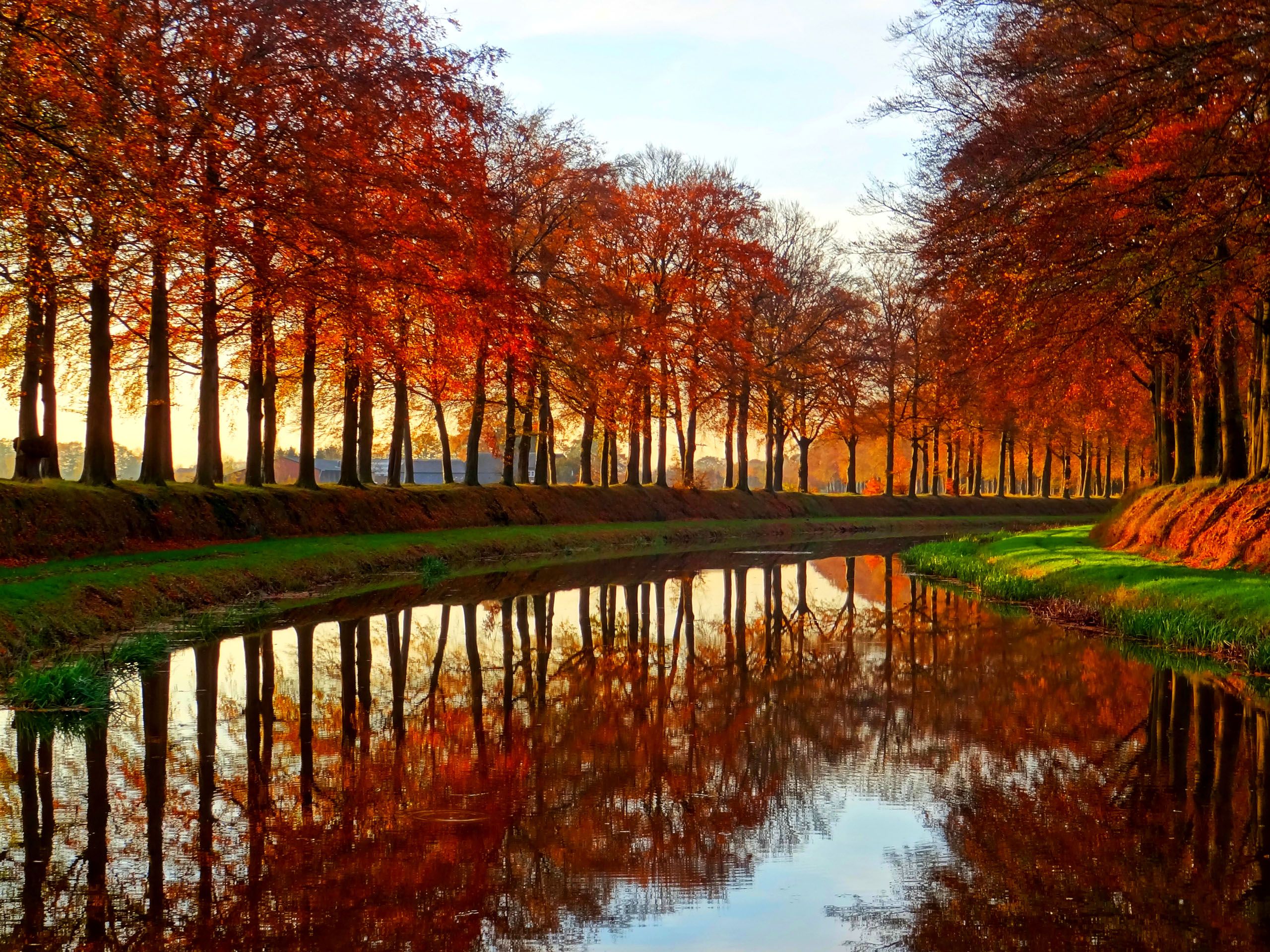 Осень в Нидерландах
