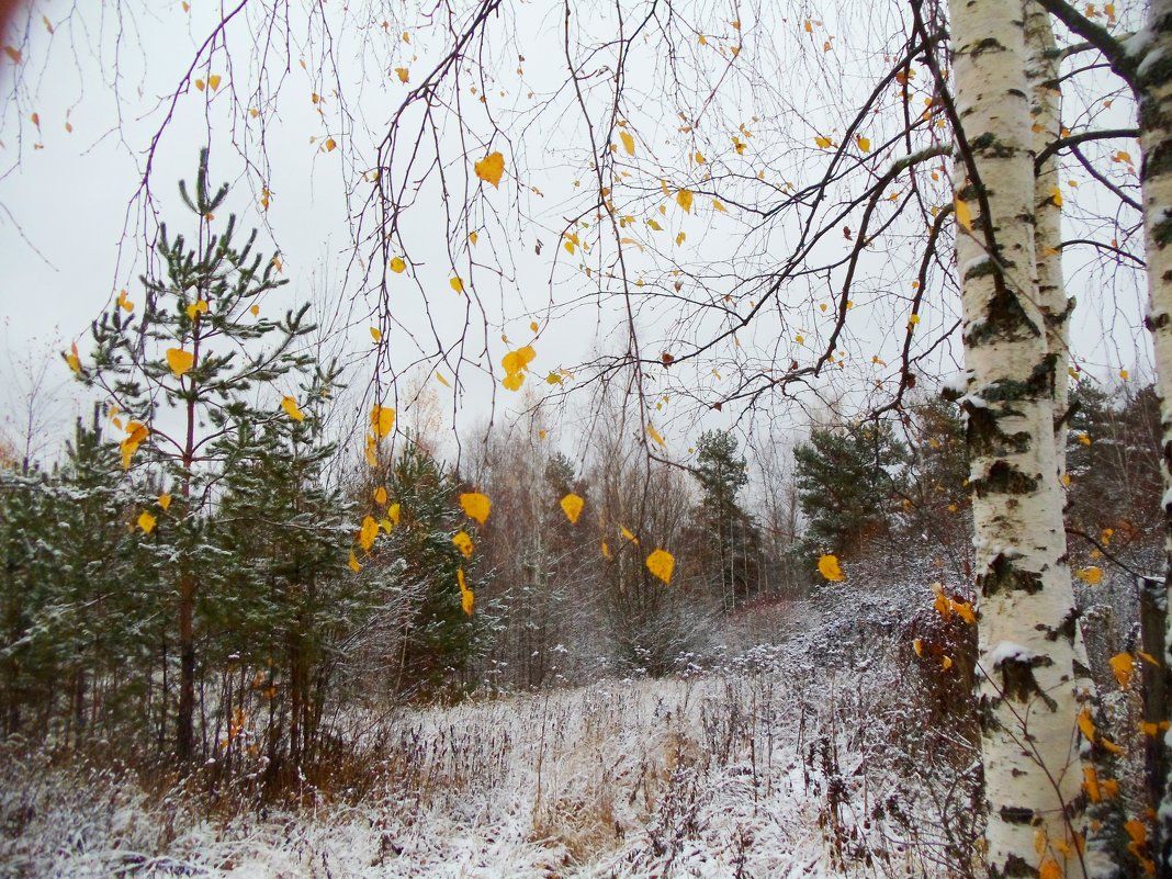 Фото природы в конце октября начале ноября