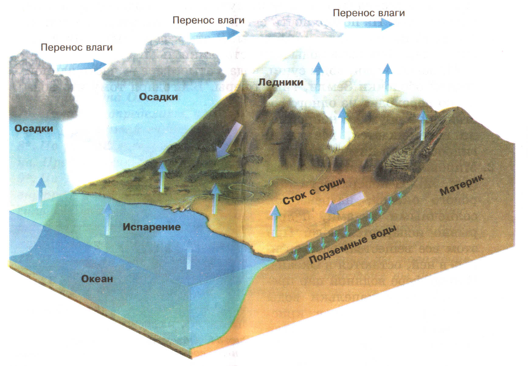 Мировой круговорот воды в природе схема