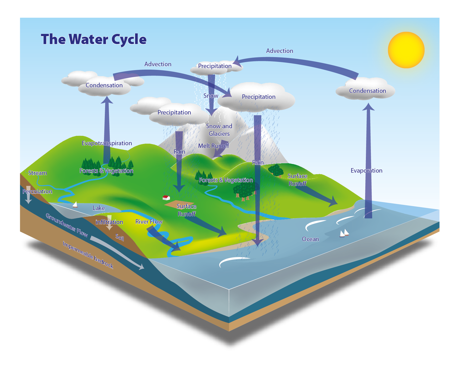 Цикл воды в организме. Круговорот воды в природе. Круговорот воды в природе плакат. Круговорот воды в природе для детей дошкольного возраста. Проект круговорот воды в природе.