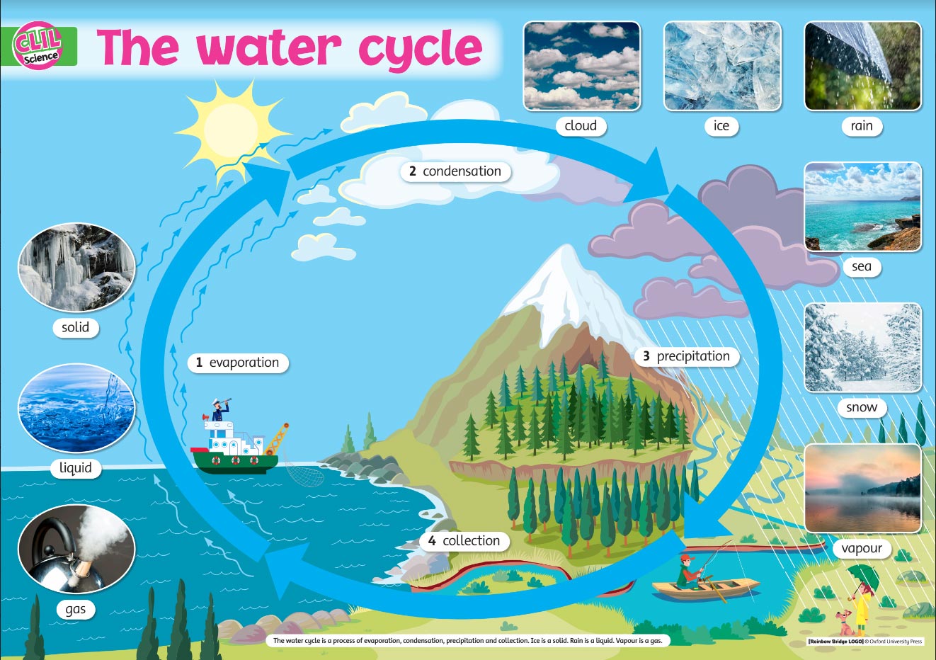 Water Cycle for Kids