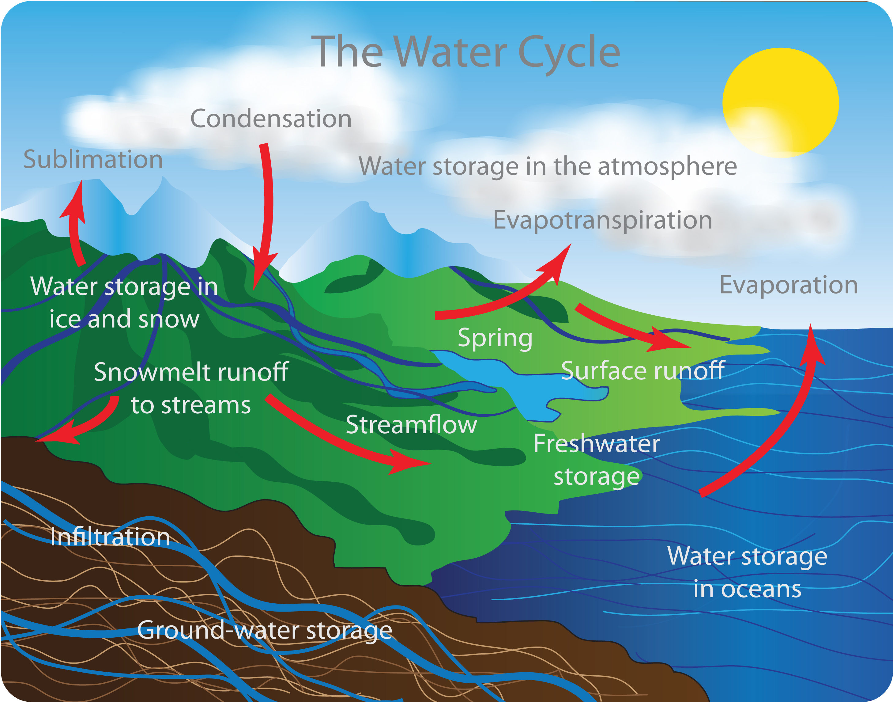 Water Cycle process