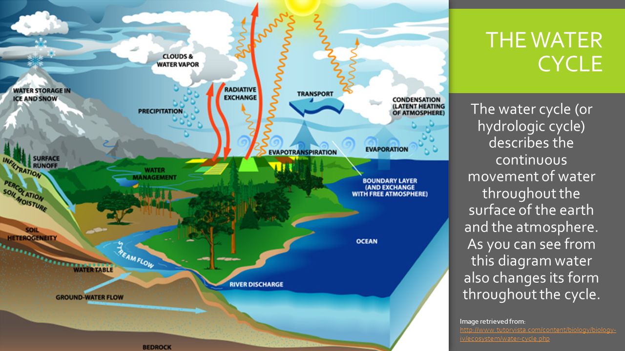 Hydrological Cycle