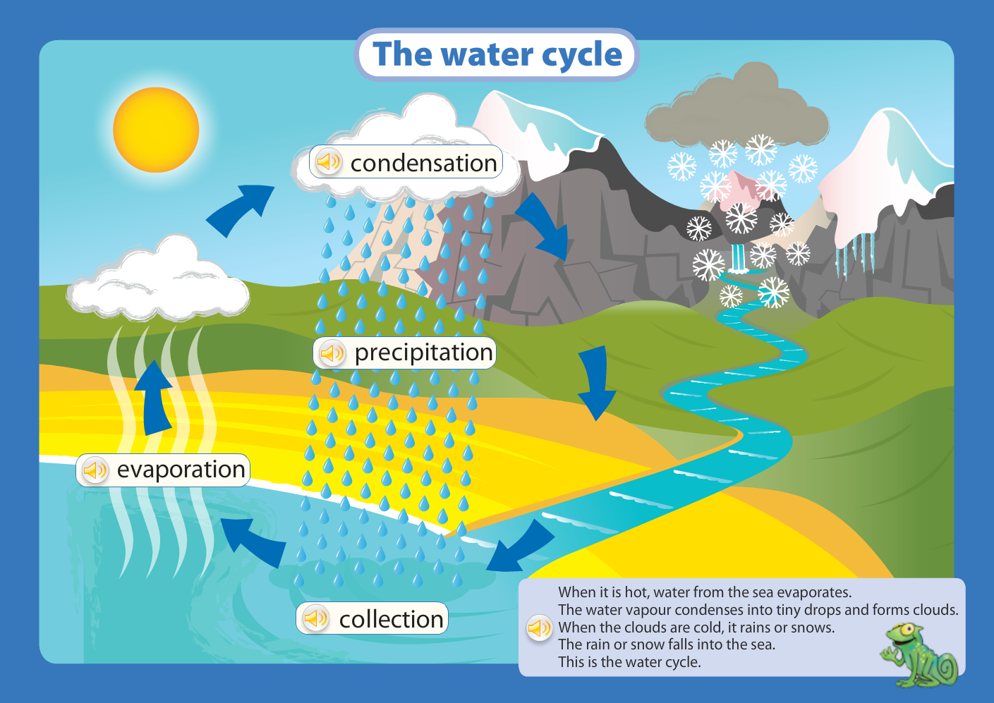 Инфографика для дошкольников круговорот воды