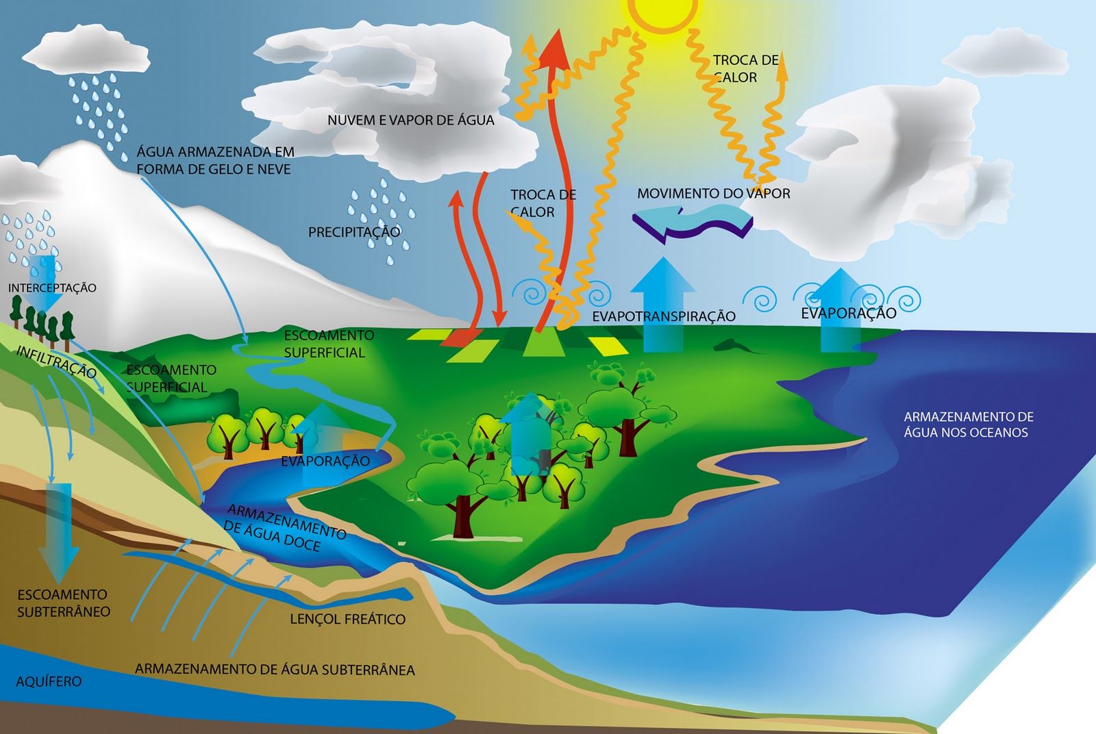 Ментальная карта круговорот воды в природе