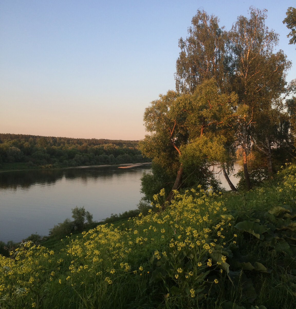 Река Таруса в Калужской