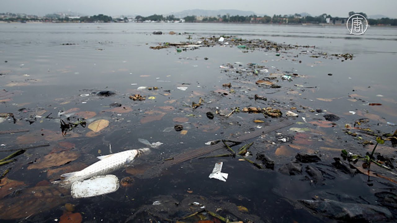 Залив Гуанабара в Рио-де-Жанейро мусор