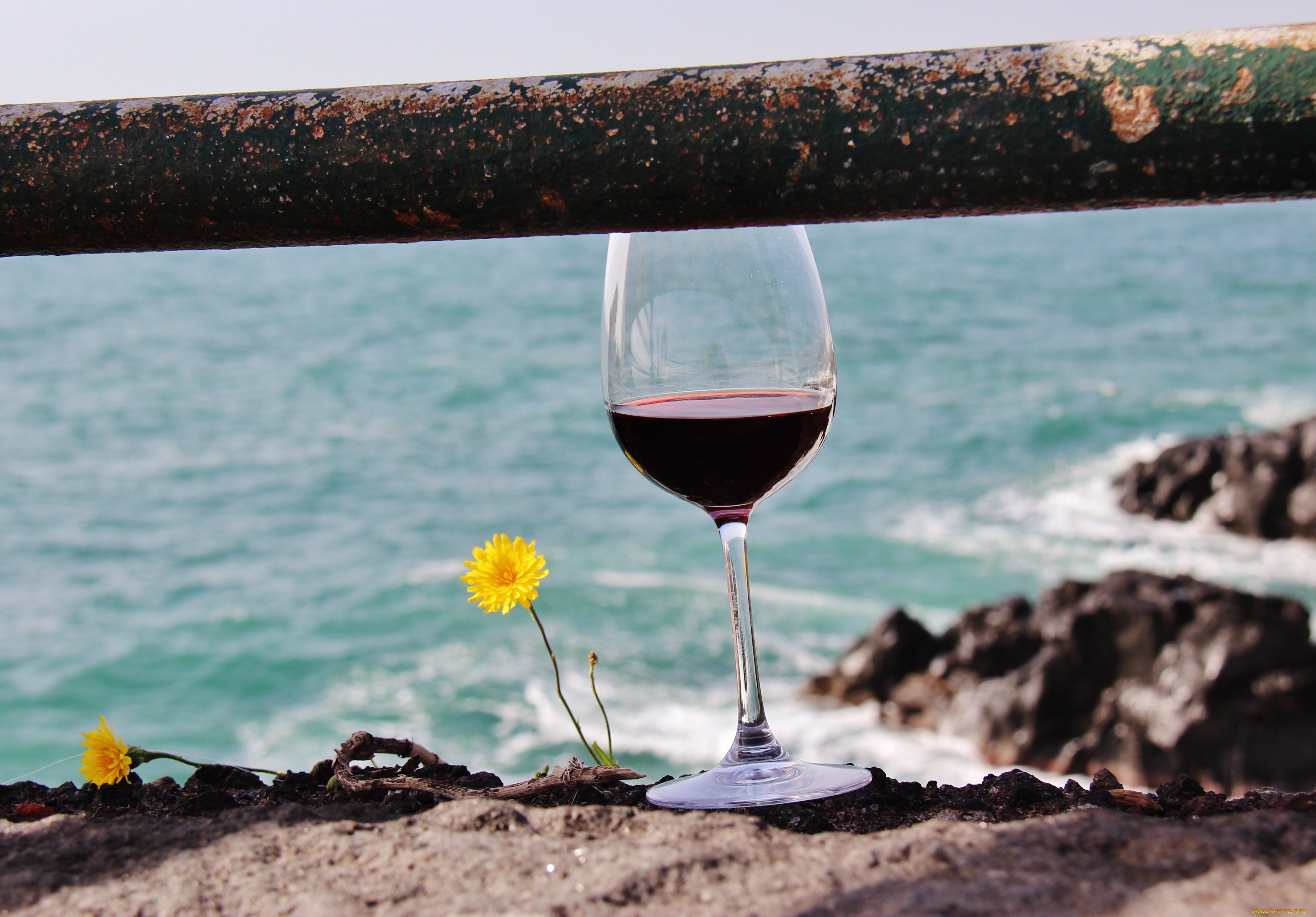 Море закат вино