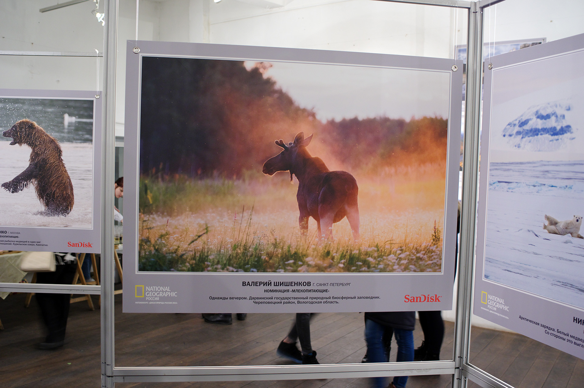 Фотовыставка дикой природы в Москве