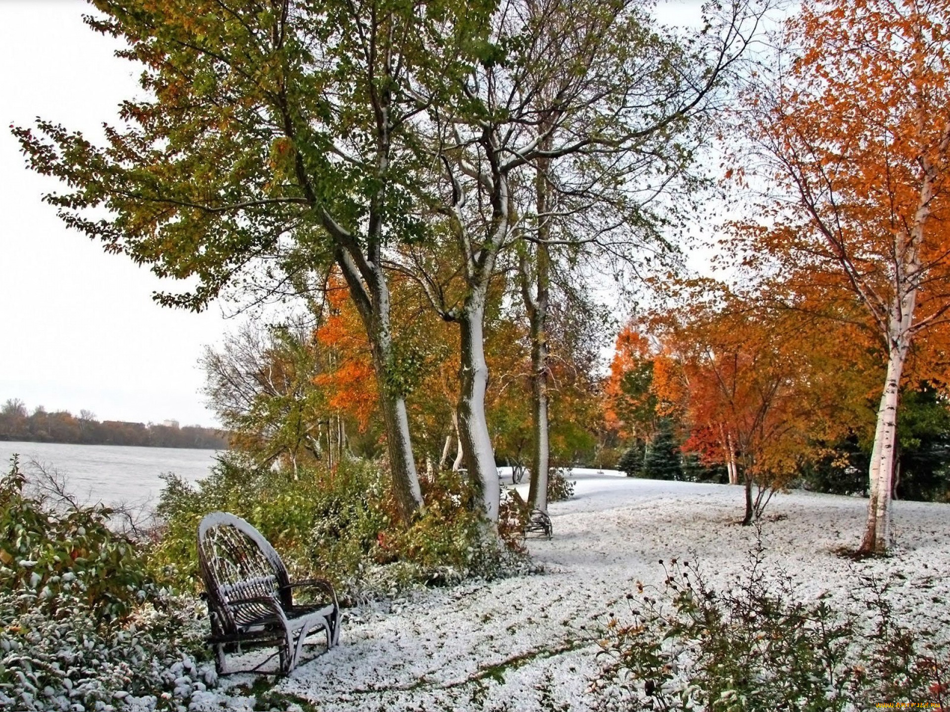 Ноябрь картинки. Ранняя зима. Поздняя осень. Поздняя осень фото. Конец осени.