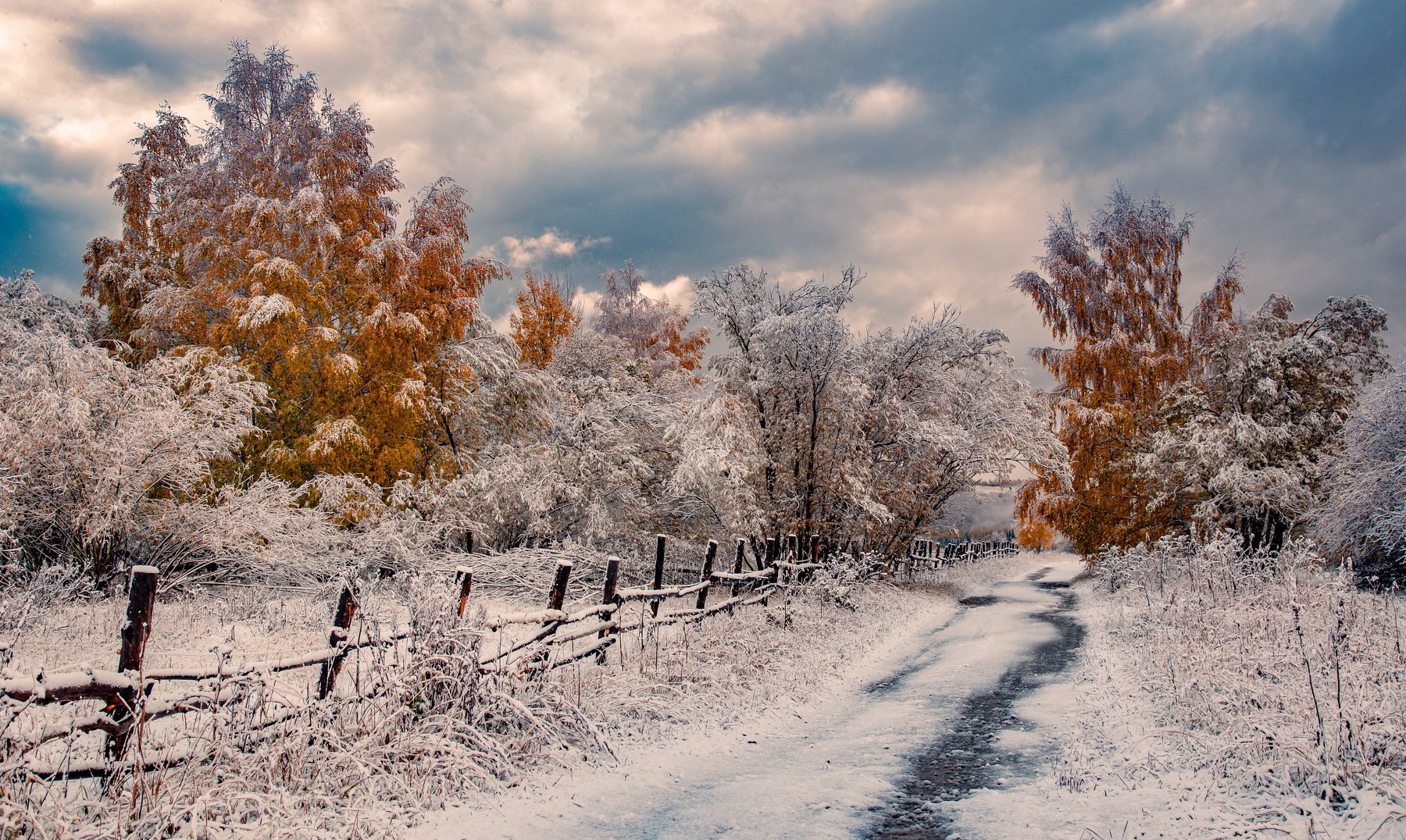 Осень первый снег Алтай