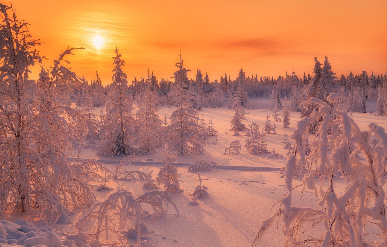 Зимняя природа Ямала