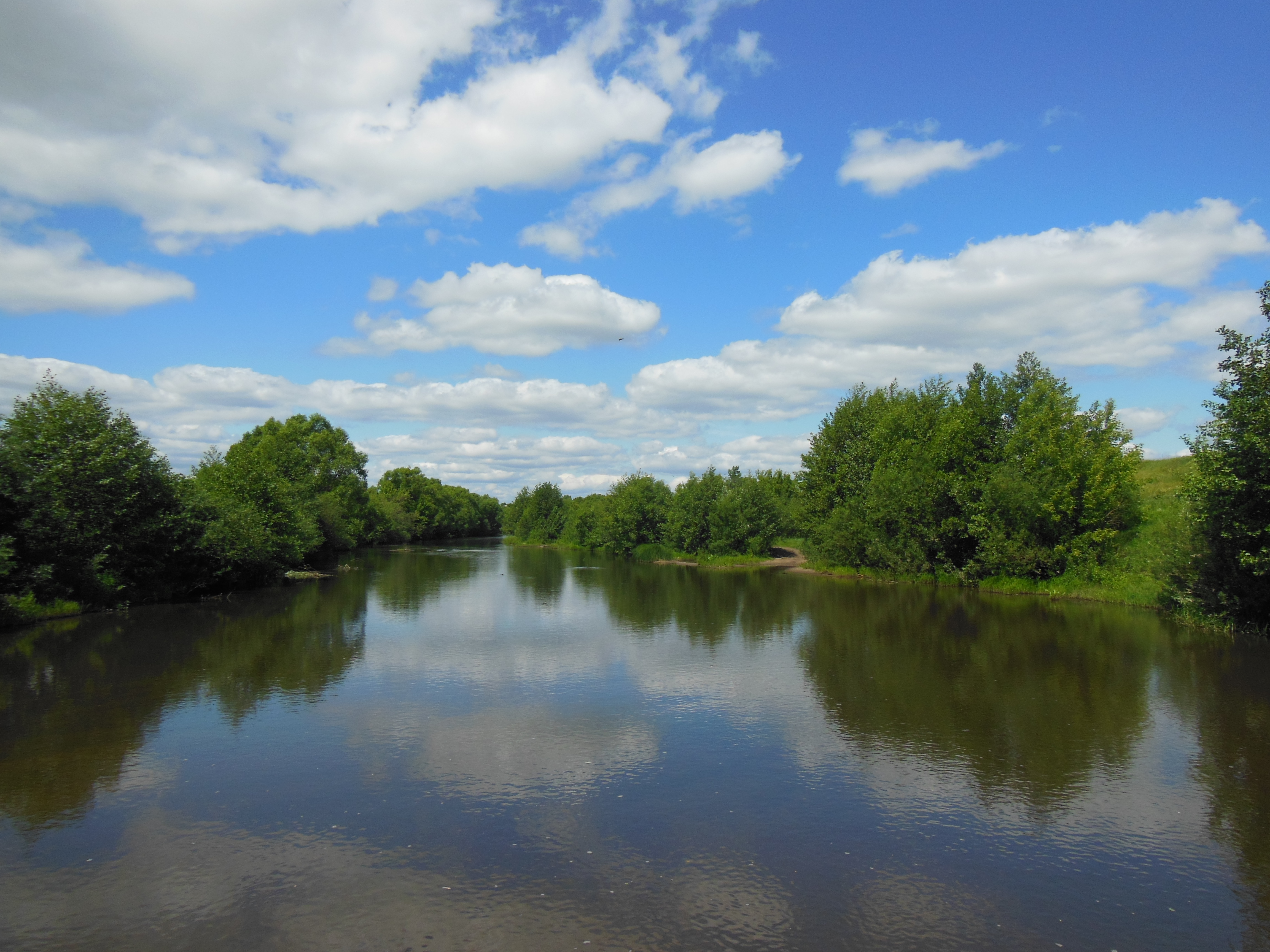 Река сосна Колпна Орловской области