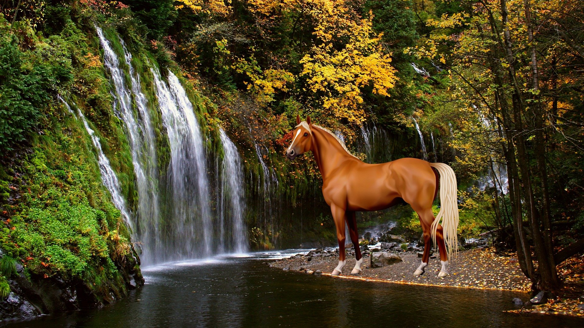 Horses fall. Лошади на природе. Красивые лошади. Красивые пейзажи с лошадьми. Картинки на рабочий стол лошади.