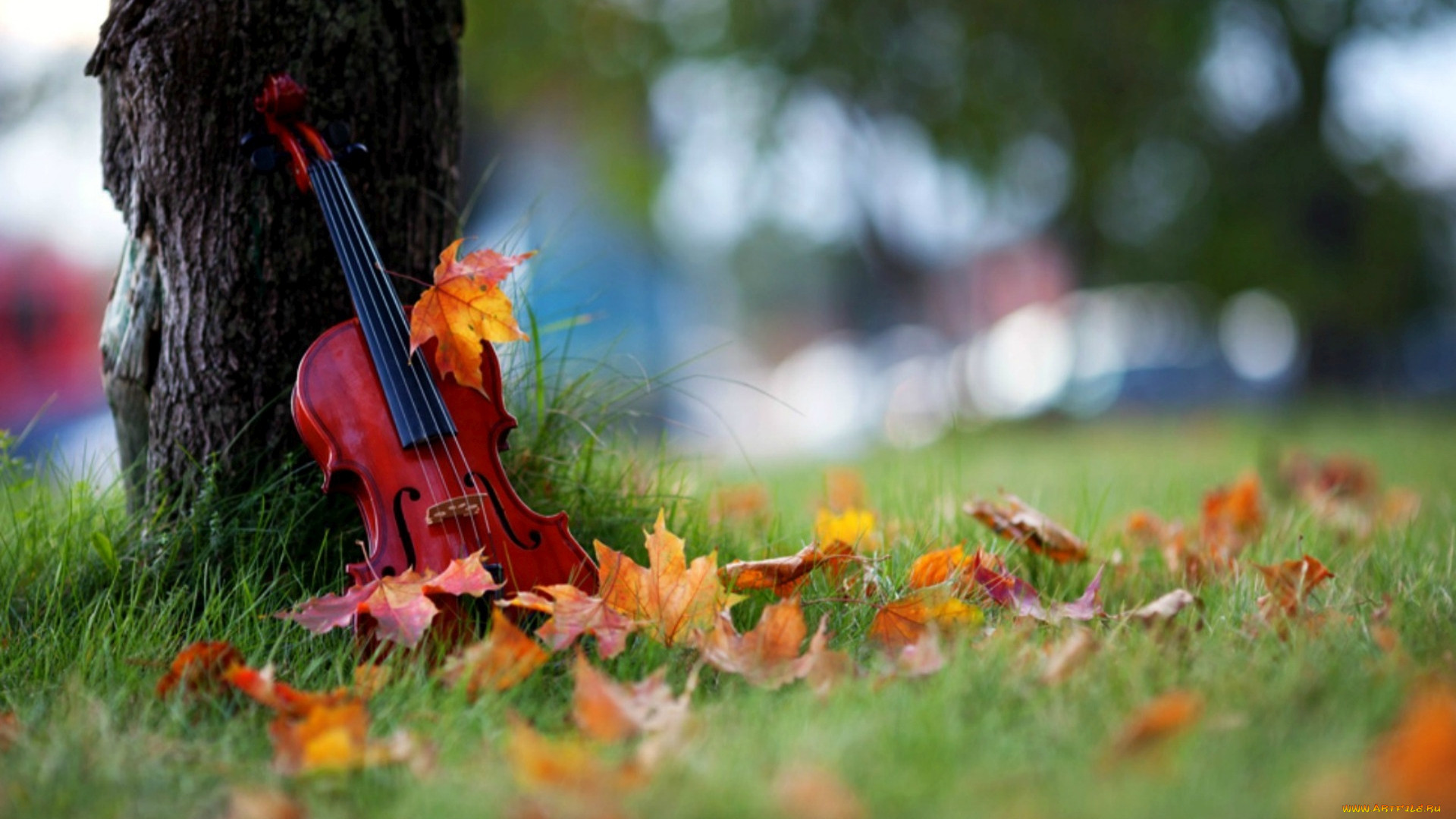 Осенняя скрипка