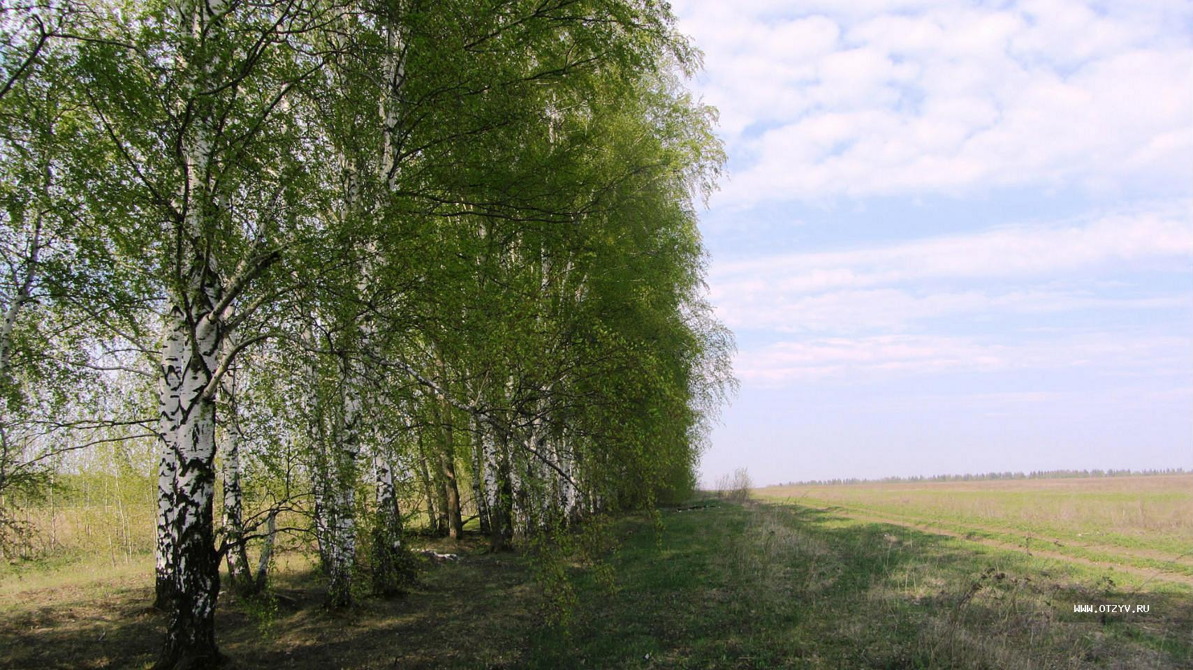 Фон природы Рязанского края