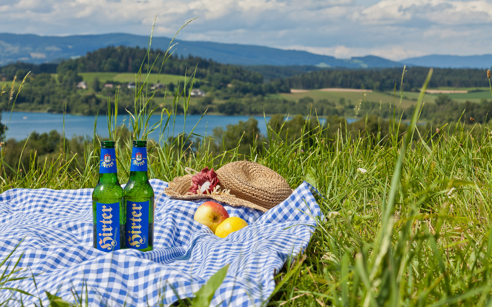 Пикник с пивом на природе