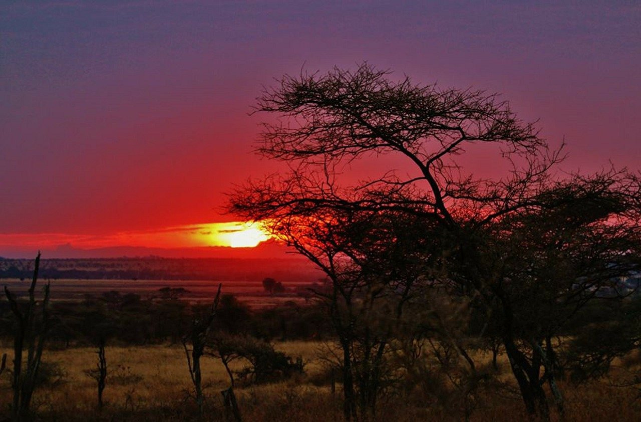 Национальный парк Серенгети, Танзания закат