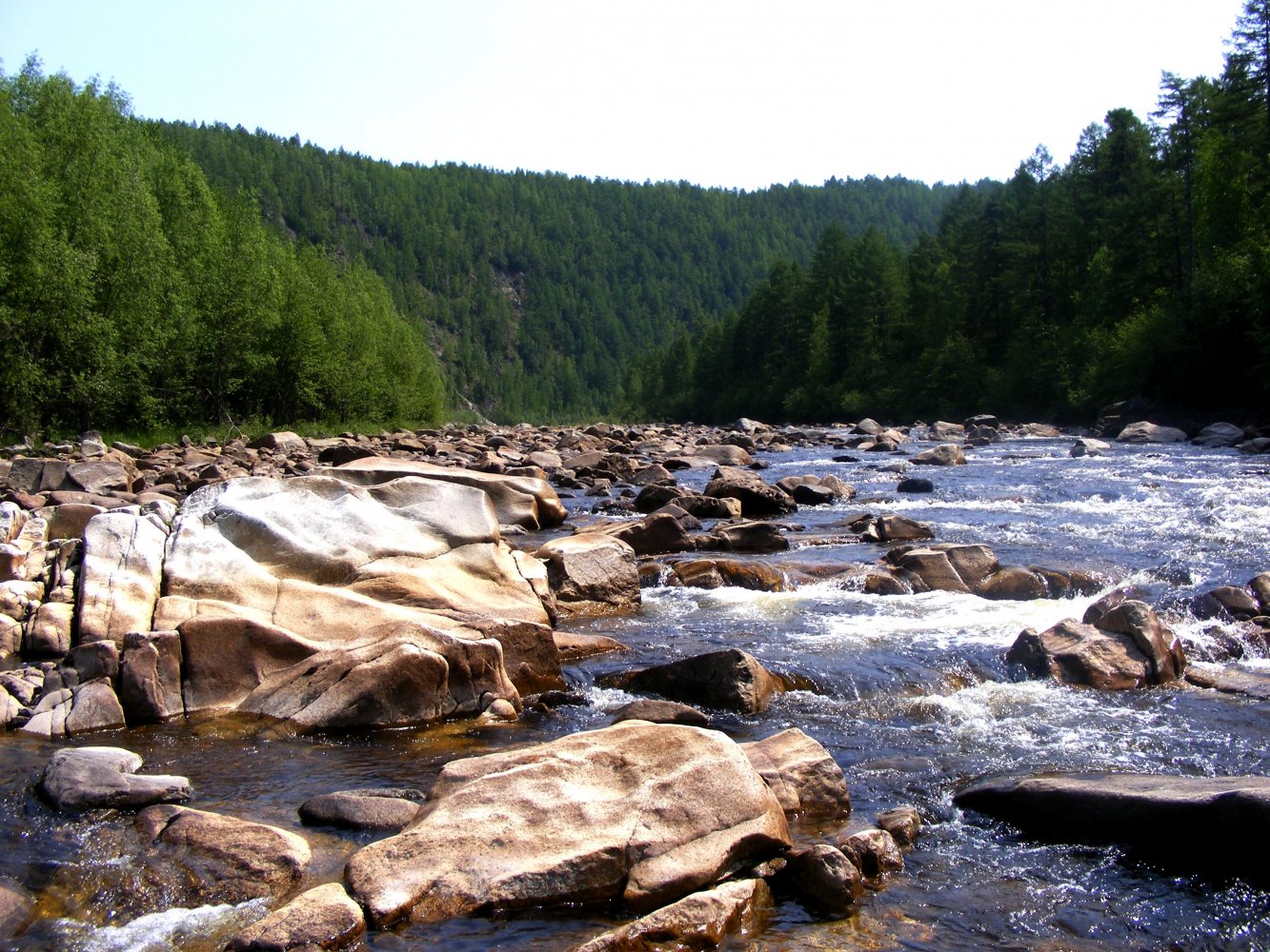Река Огоджа Амурская область