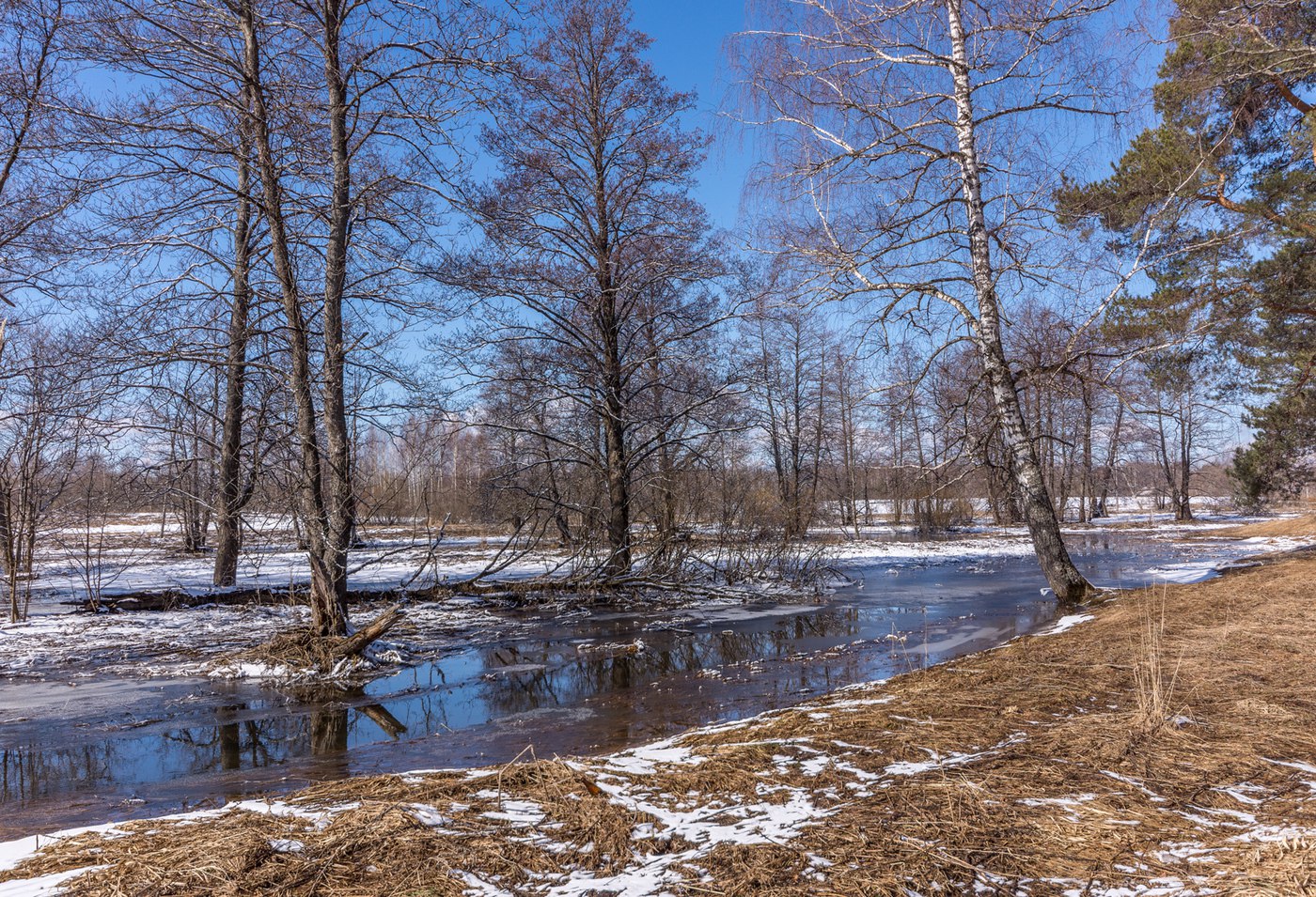 Калужская область Весна Калуга