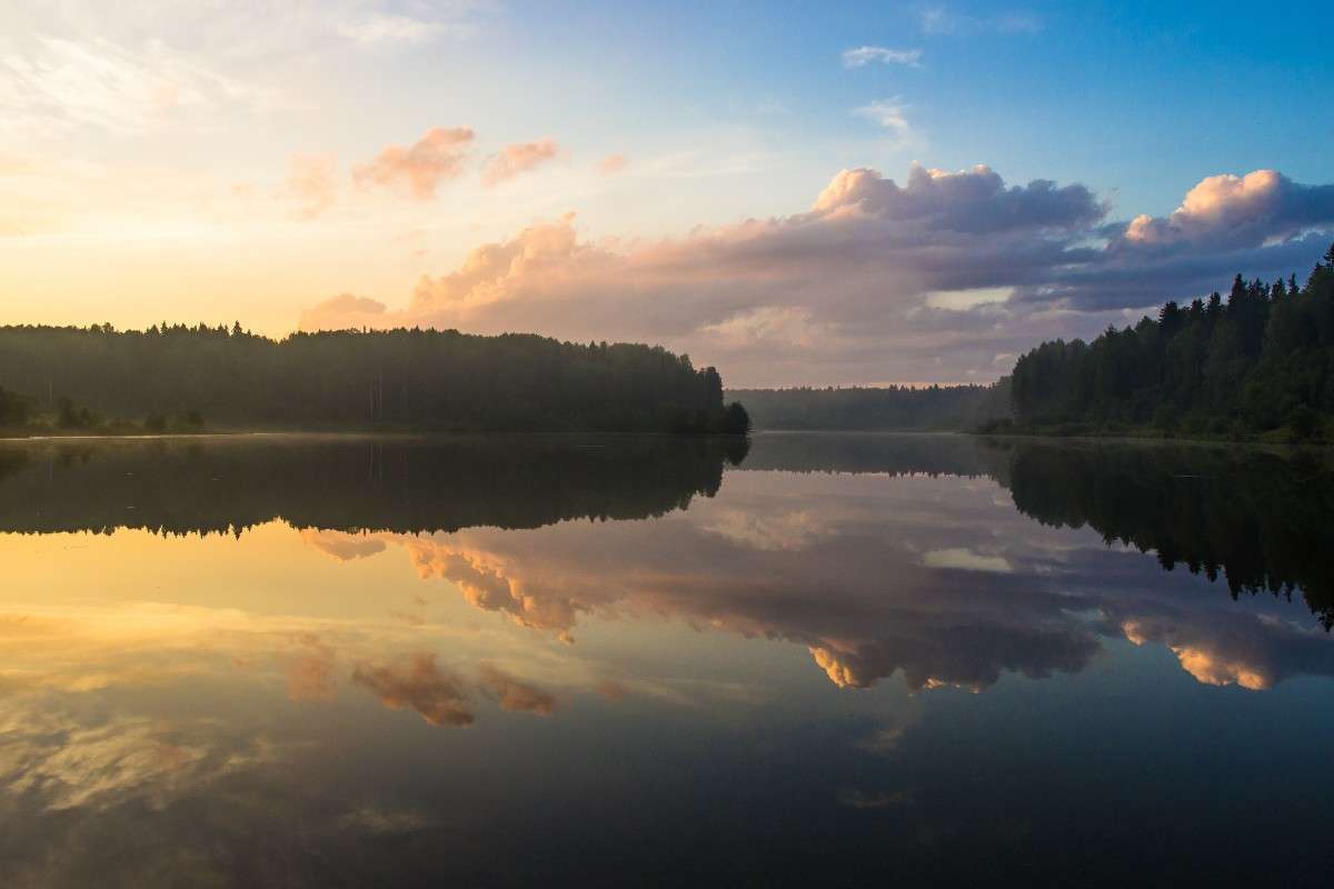 Вологодское озеро Лесное