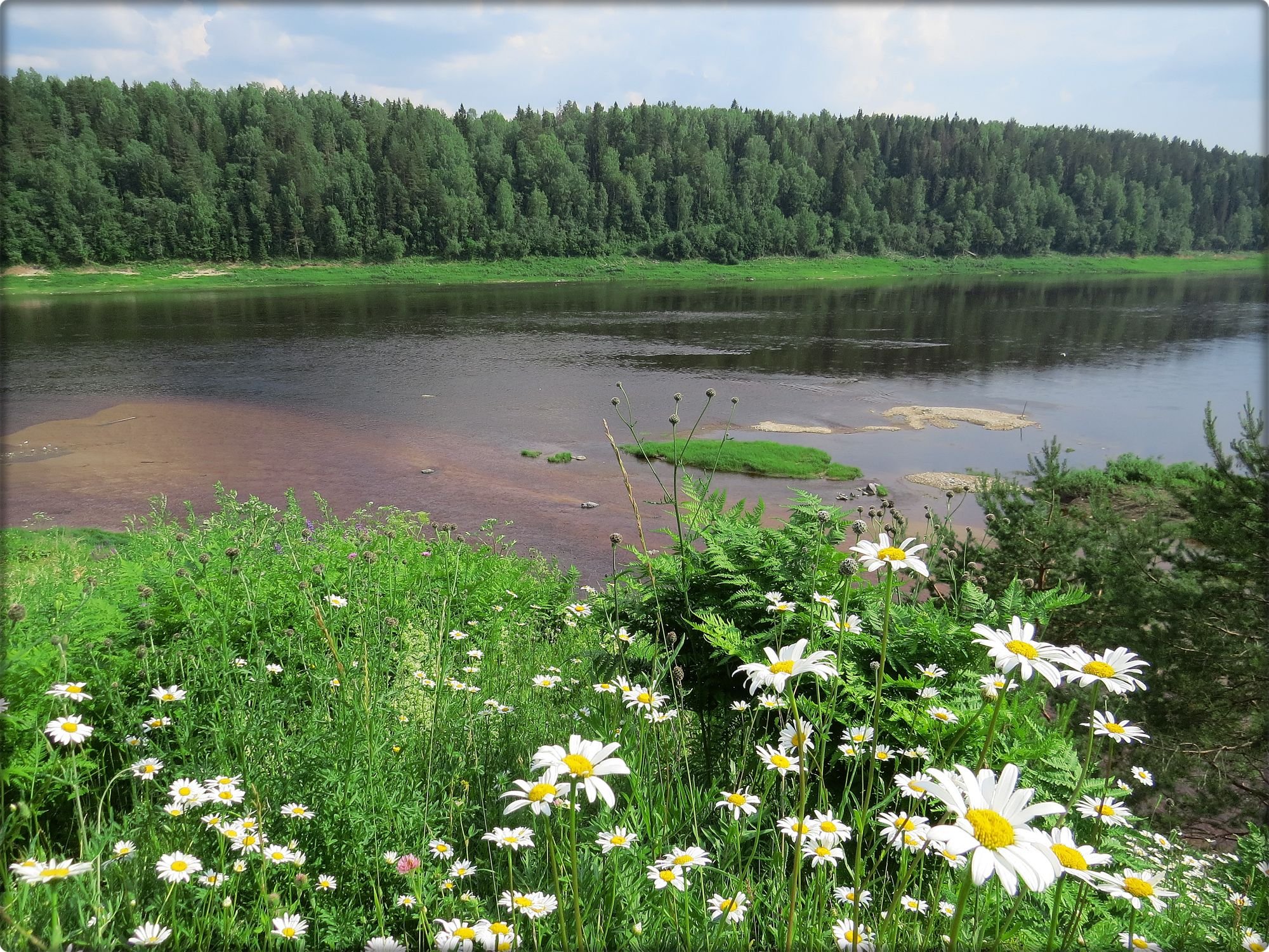 Река Уфтюга Вологодская область