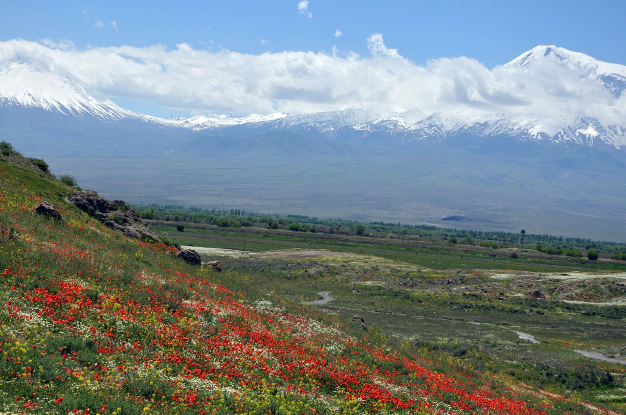 Долина Арарат Цветущая
