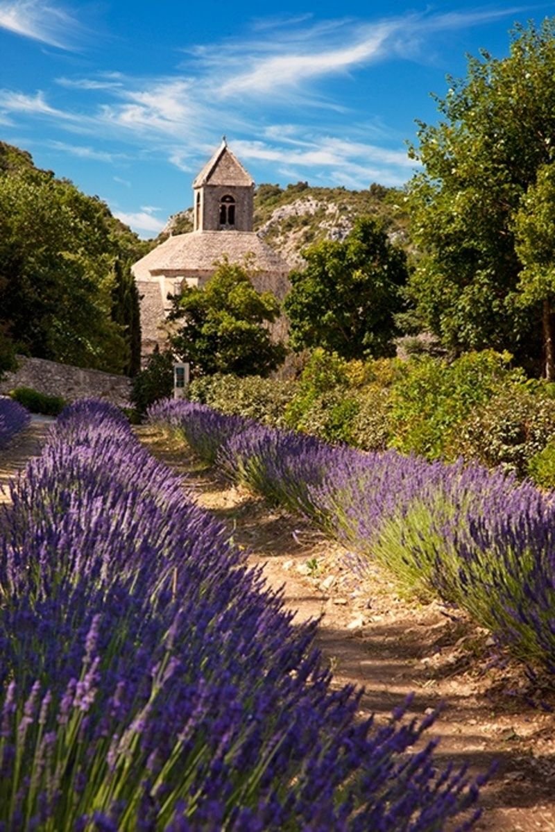 Природа франции. Лаванда Прованс. Лавандовые поля в Провансе Франция. Люберон на юге Франции. Люберон Франция сады.