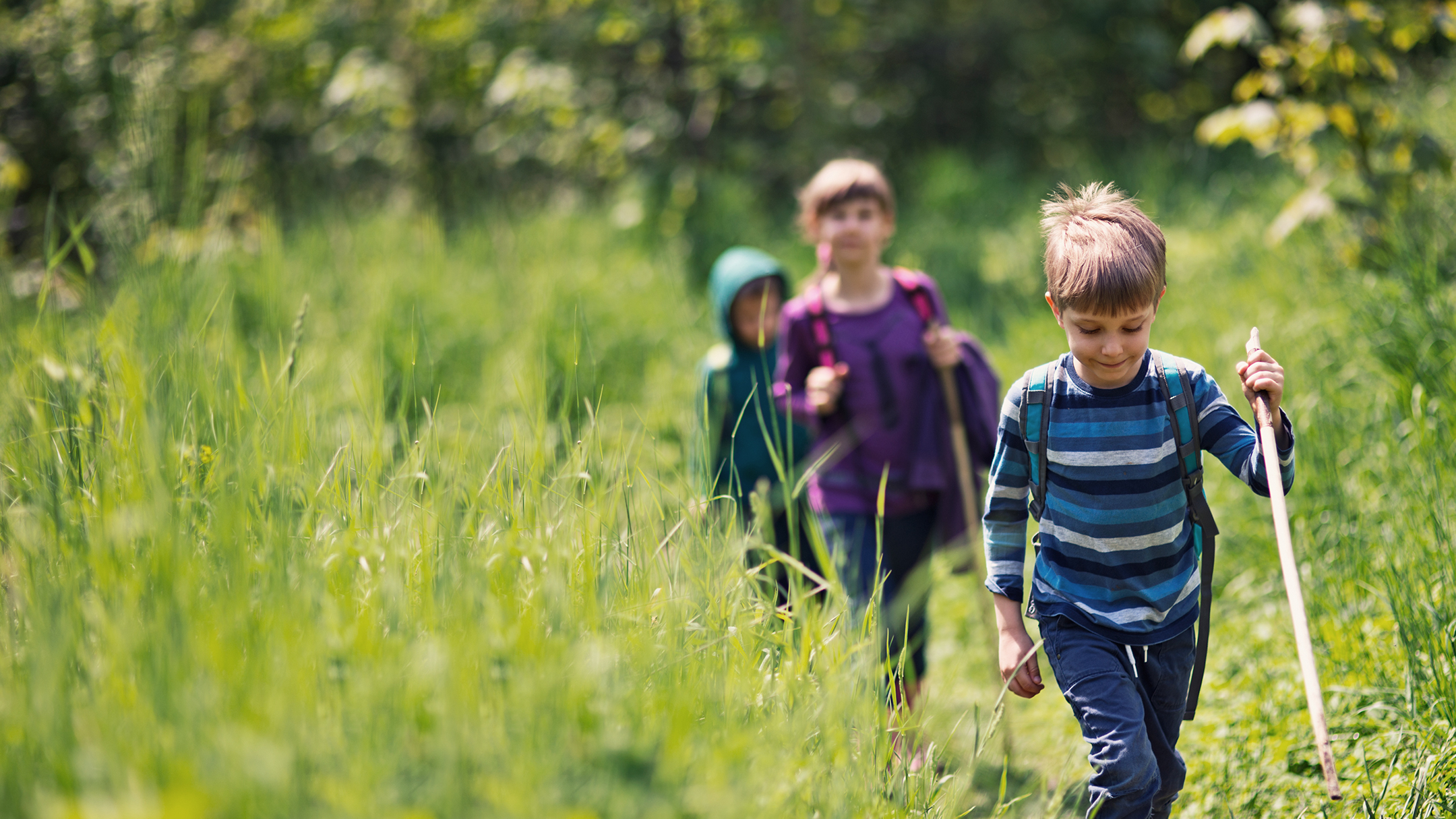 Школа уроки гулять. Дети и природа. Прогулка в лесу дети лето. Прогулка на природе. Прогулки на свежем воздухе для детей.