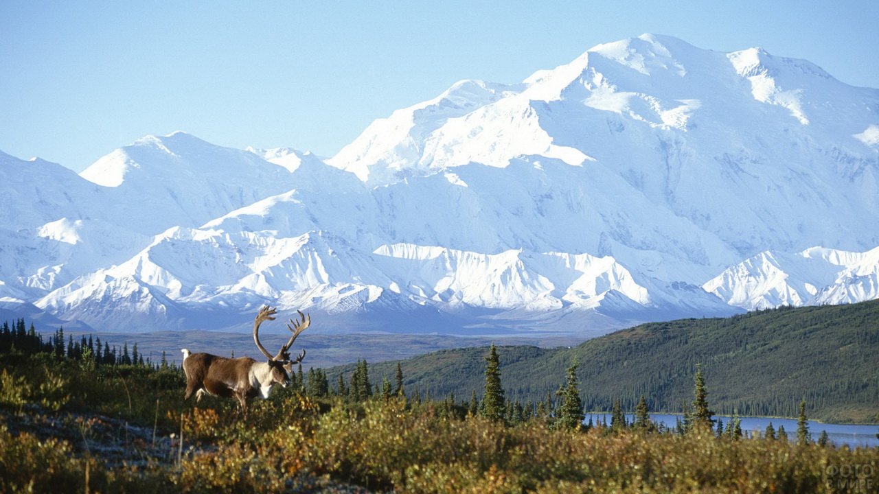 Национальный парк Денали Аляска
