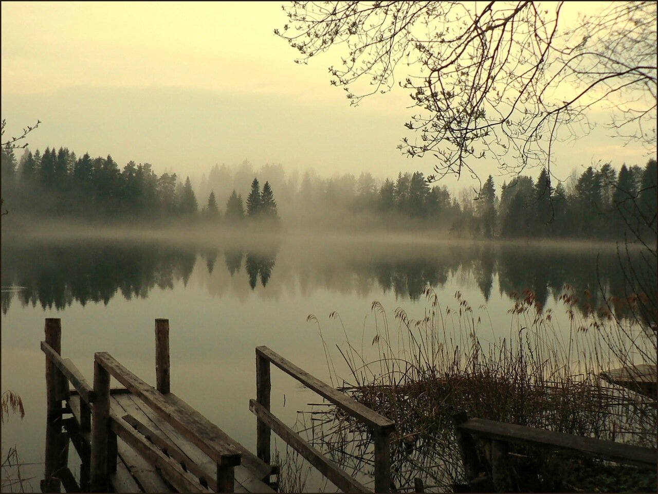 Природа молчания. Туман Лесное озеро деревня. Природа вечер. Пейзаж вечер. Тишина туман.