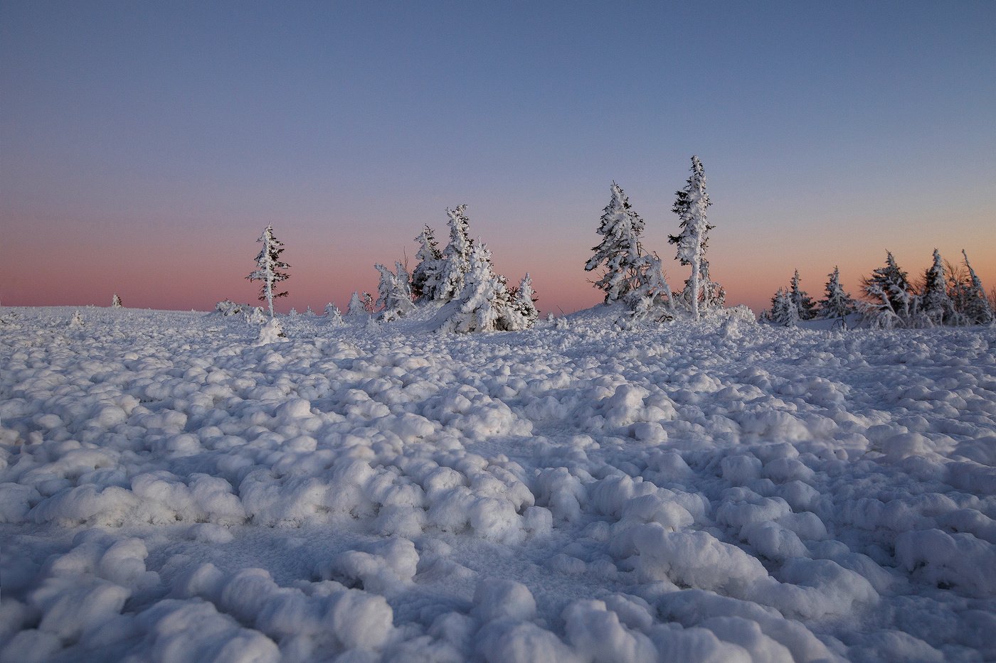 Где зимой сухо и тепло. Ямал тундра зима. Якутская тундра. Тундра в снегу Воркута. Зима в тундре России.