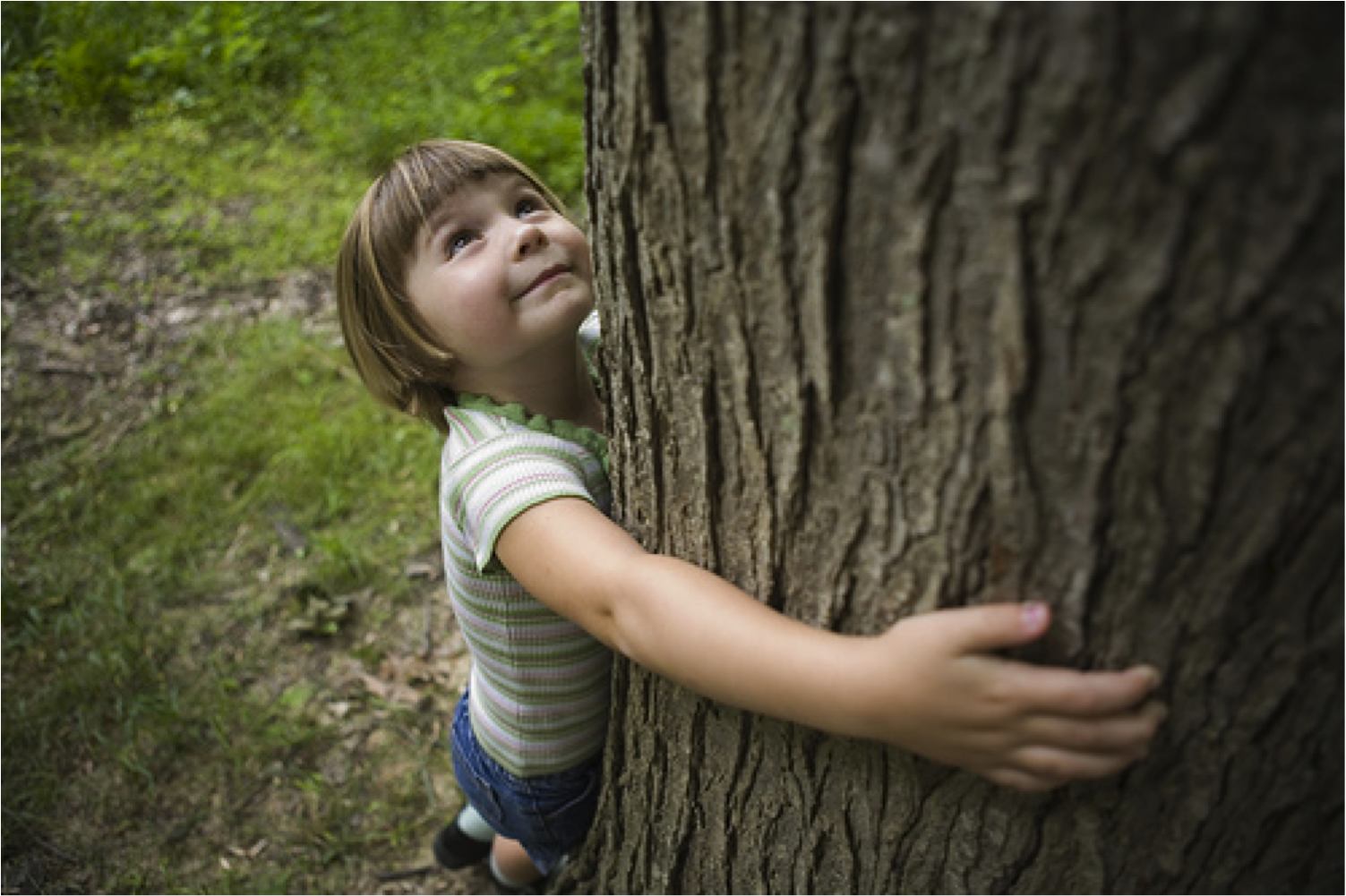 Child nature. Дерево для детей. Дети и природа. Природа деревьев для детей. Любовь детей к природе.