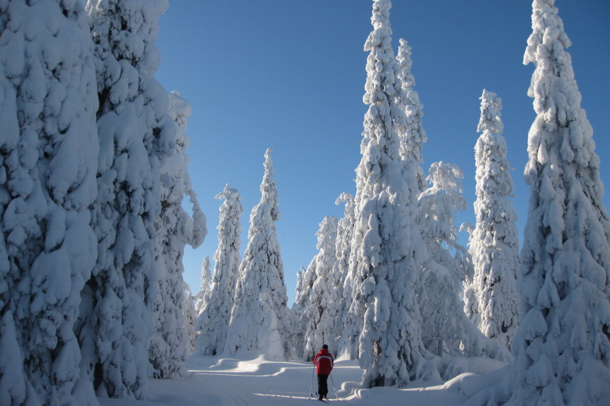 Природный туризм в Финляндии зимой