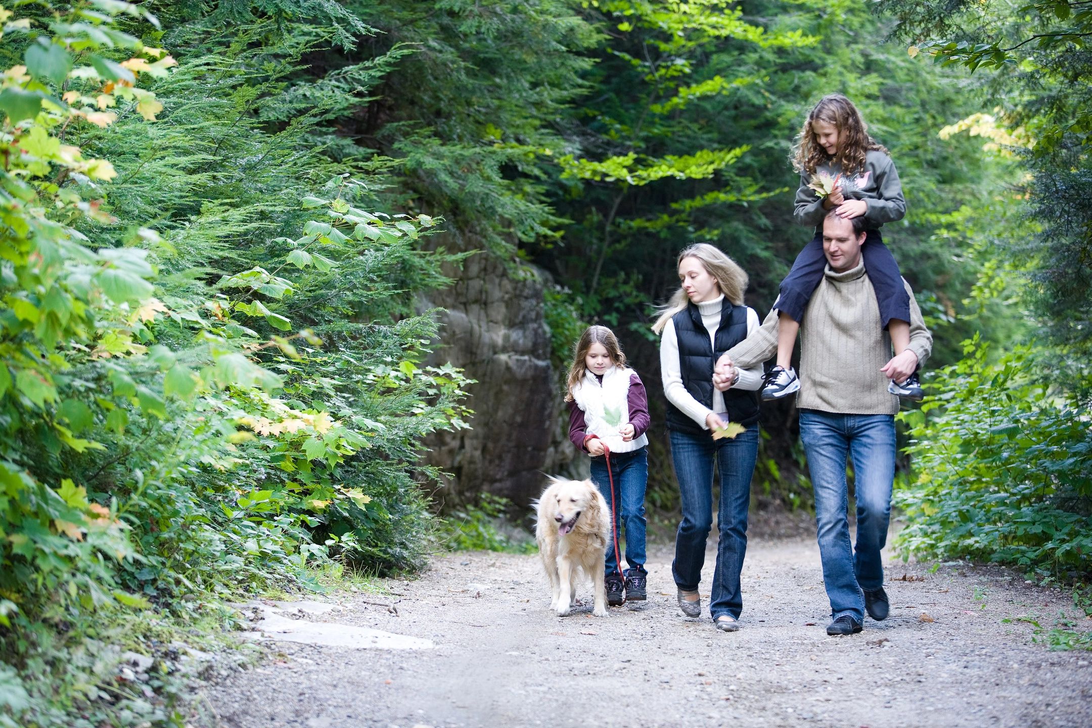 Погулять по лесу. Прогулка на природе. Прогулка в лесу. Семья на прогулке. Пешие прогулки на природе.