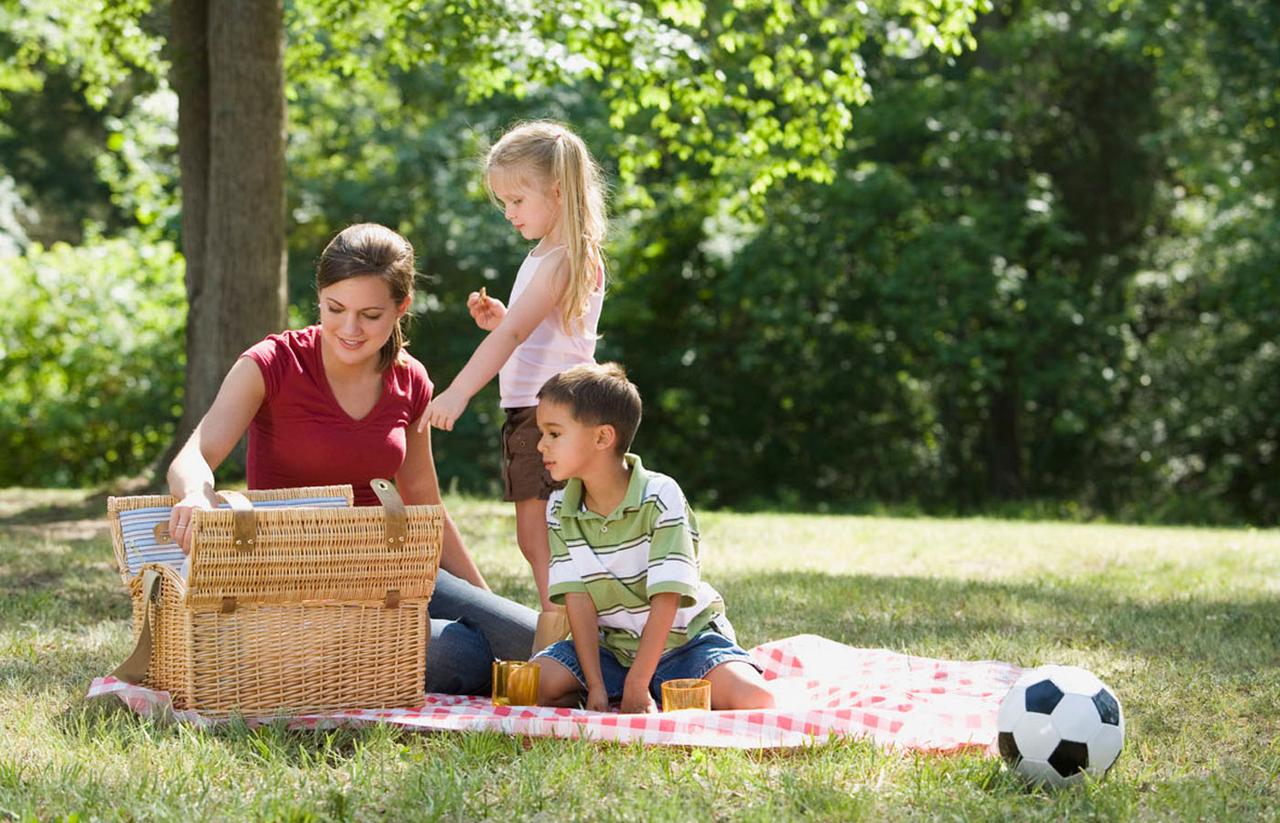Семья на пикнике на лужайке