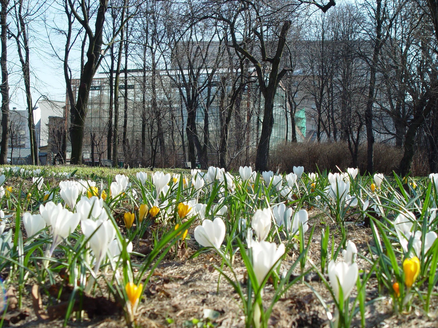Ботанический сад Ростов март апрель