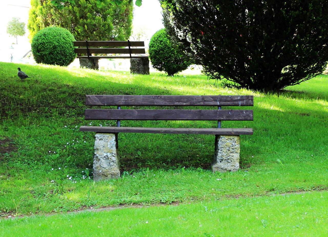 Скамейка на траве