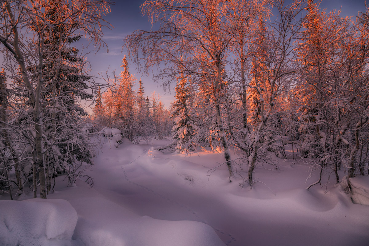Природа Сибири зимой