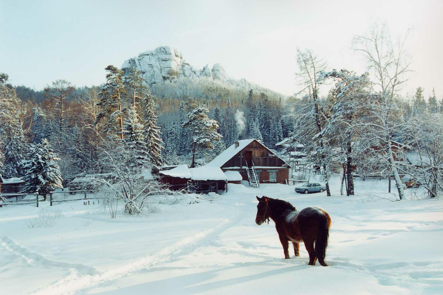 Зима в Сибири красивые фото