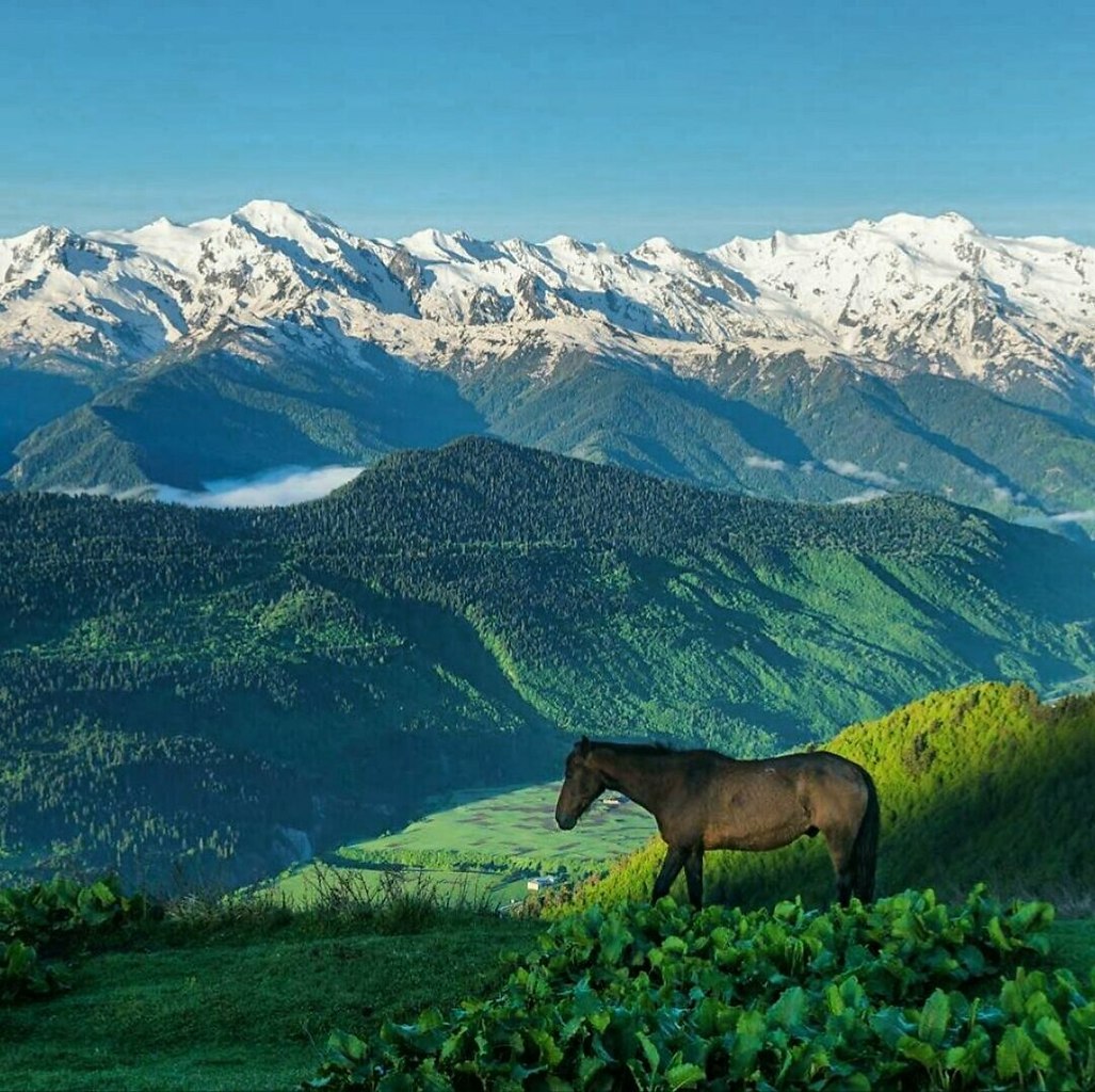 Georgia горы