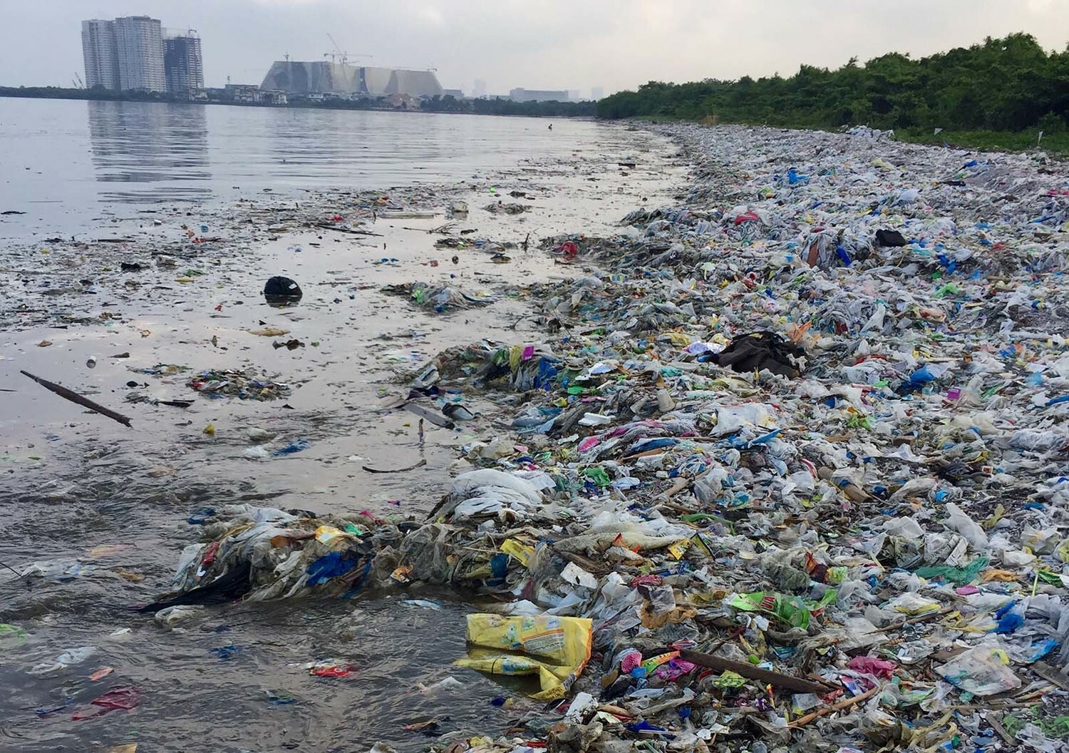 Загрязнение пластиком