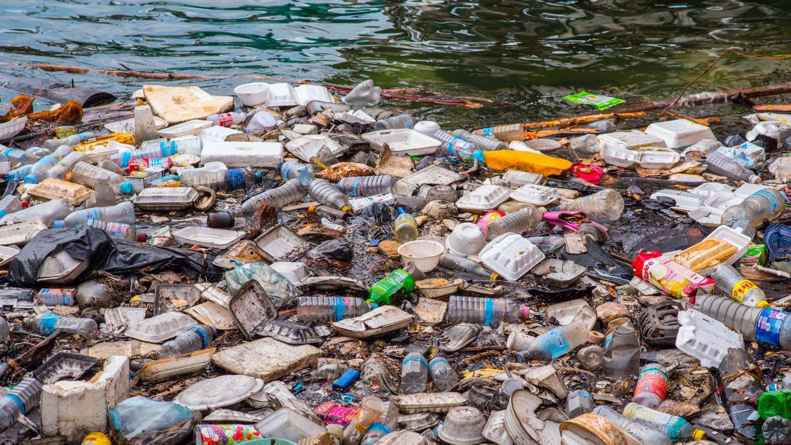 Пластик загрязняет природу