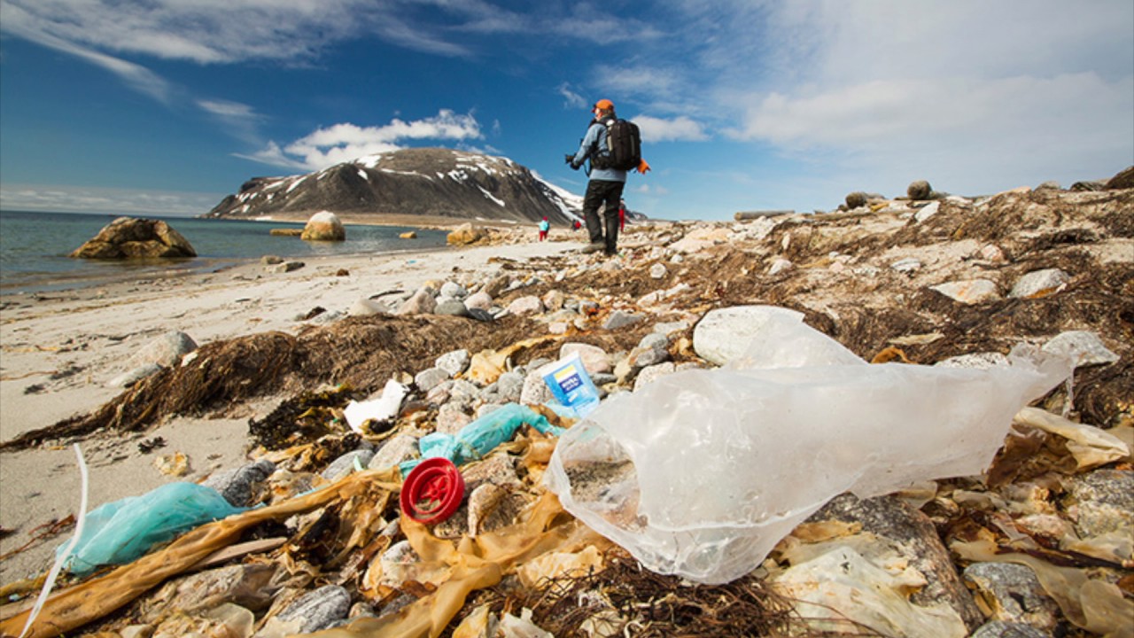 Экологические проблемы северного ледовитого океана. Мусор в Антарктиде. Мусор на берегу моря. Пластиковый мусор в Арктике. Уборка мусора в океане.