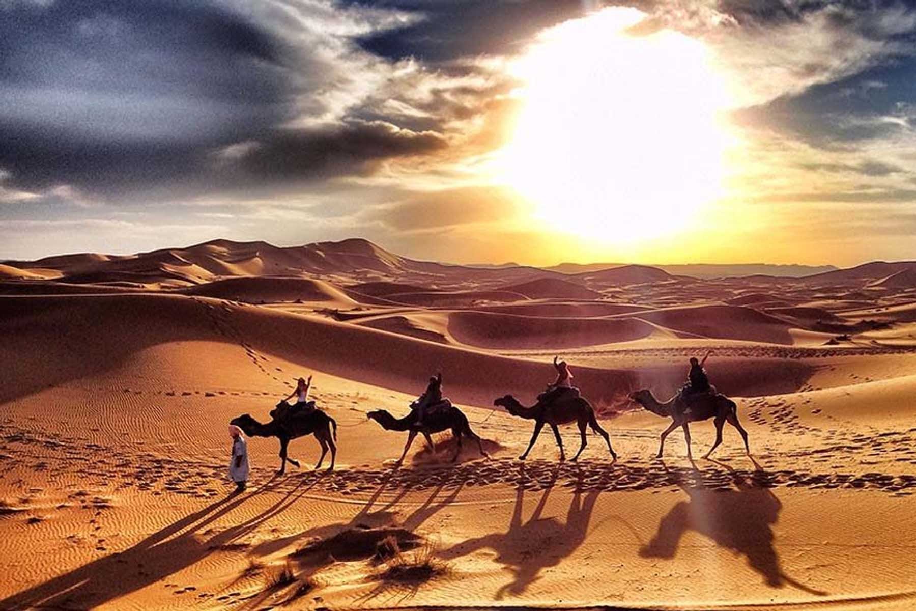 Рисунок караван верблюдов в пустыне